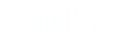 LE BRONZE