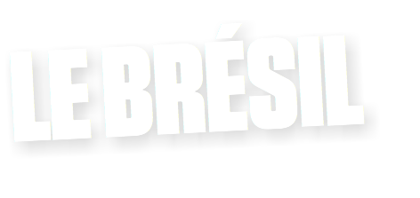 LE BRÉSIL